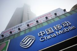 【8分钟科普下】楚雄市电话号码_哔哩哔哩-2